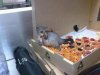 fat possum.JPG