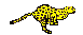 leopard_OV3M9F.gif