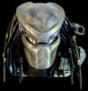 Predator.jpg
