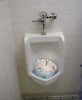 urinal+cake.jpg