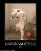Gangnam Style.jpg