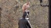 251505-naked-man-whitehall-london-statue.jpg