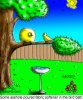 Birds.jpg