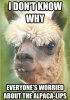 alpacalipsQuickmeme.jpg