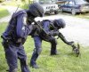 terrorist pussy.jpg