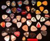 xcredit-card-guitar-pick.jpeg.pagespeed.ic.cHj2yp-HcH.jpg xcredit-card-guitar-pick.jpeg.pagespeed.ic.cHj2yp-HcH.jpg
