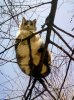 tumblr_lk92g0WQnu1qimwbgo1_500.jpg