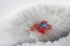 Stroll-by-Slinkachu-01-550x366.jpg