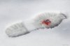 Stroll-by-Slinkachu-02-550x366.jpg