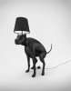doglamp3.jpg