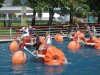 we-loved-the-water-bikes-poitiers-france+1152_12847530304-tpfil02aw-10606.jpg
