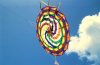 Bermuda kite.JPG