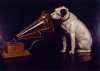 gramaphone 6.jpg
