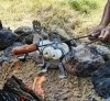 funny-hot-dog-and-marshmellow-roasting-sticks.jpg