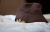 Most-Photogenic-Kitten-18.jpg