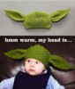 funny-star-wars-pictures-yoda-hat.jpg