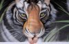 remote_image_1329833491.big.jpg
