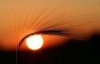 a.baa-The-Eye-Of-The-Sun.jpg