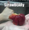 a.baa-Straw-Bearry-.jpg
