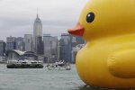 rubber-duck8.jpg