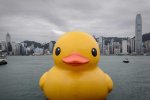 rubber-duck6.jpg