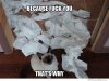 because-fuck-you-thats-why.jpg