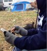 dog-head-funny-optical-illusions.jpg