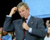 Bush Scratching Head.jpg