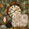 9 lives resizsd.jpg