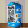 Justynn Missing.jpg