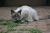 DSC_1203.JPG