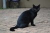 DSC_1212.JPG