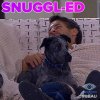 Snuggl-Ed.jpg