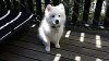 20130825_141519.jpeg