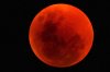 total-lunar-eclipse-june-2011-namibia-reserve-tucker-1.jpg