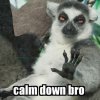 calm-down.jpg
