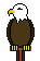 eagle-96.gif