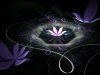 1abstract-lotus-flower_1280x960_1283.jpg