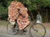 blog-1.jpg
