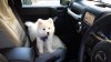 20130819_151326.jpg