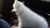 20130817_113113.jpg