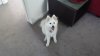 20131026_133647.jpg