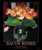 bacon roses.jpg bacon roses.jpg