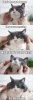 funny-pictures-of-animals-27.jpg