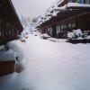 snow.jpg