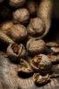 21030330-cracked-walnuts-on-rustic-wooden-table.jpeg