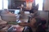 Joy Serving at the Bar 8 months.jpg