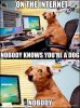 On_internet_nobody_knows_you_re_a_dog_Nobody_Img01.jpg