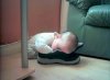 enhanced-buzz-10440-1366836919-5.jpg