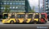 zoo-giant-snake-bus-1.jpg